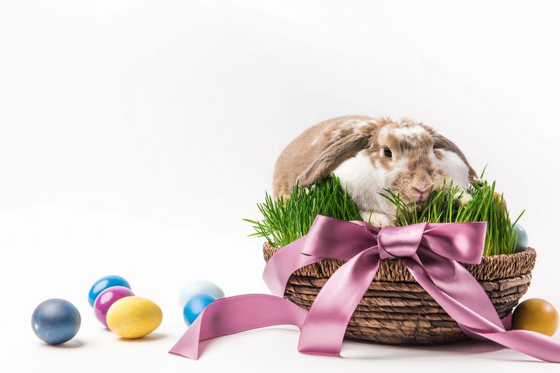 Ouvert ou fermé en Estrie pendant le congé de Pâques